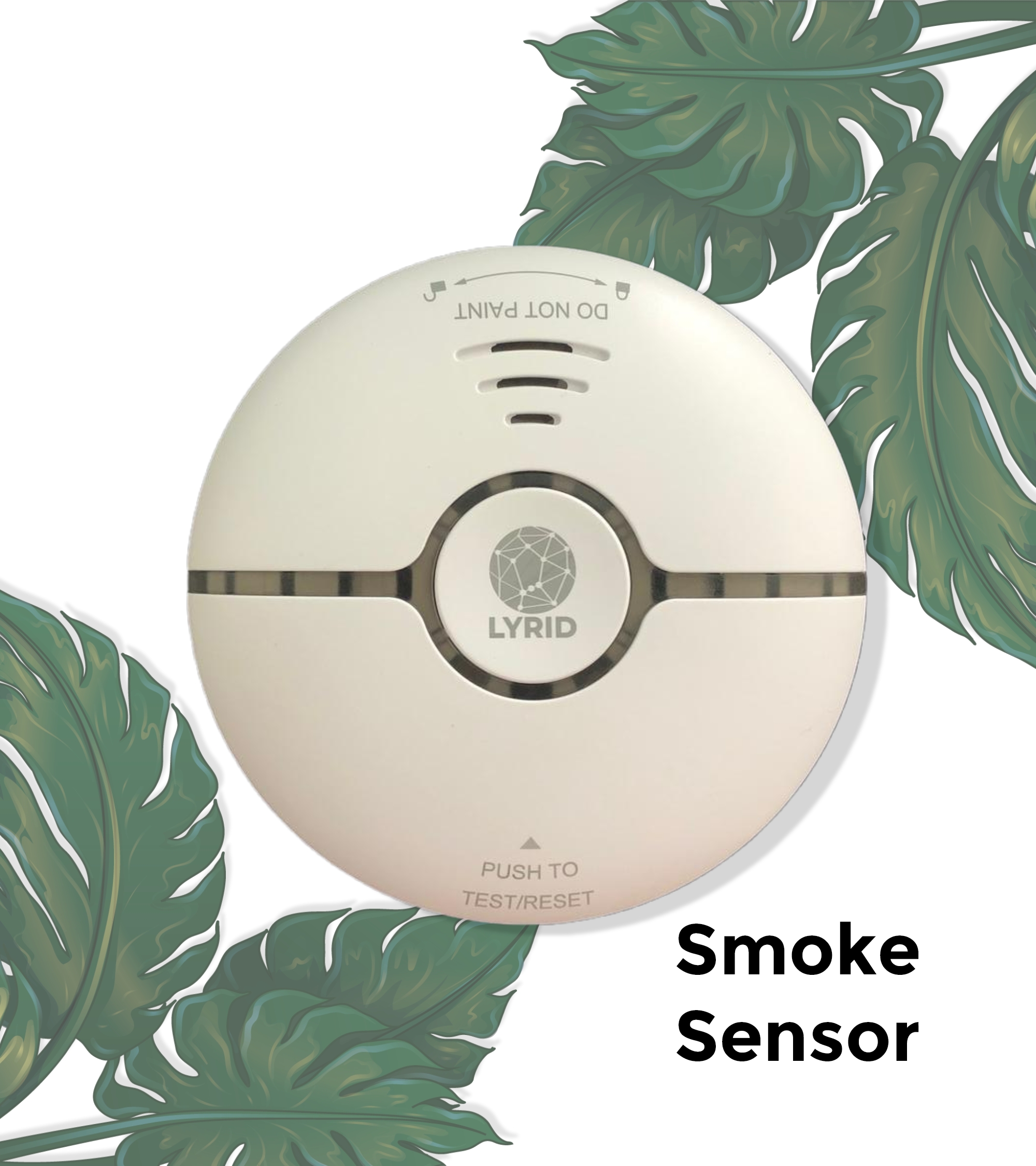 Smoke Sensor 1