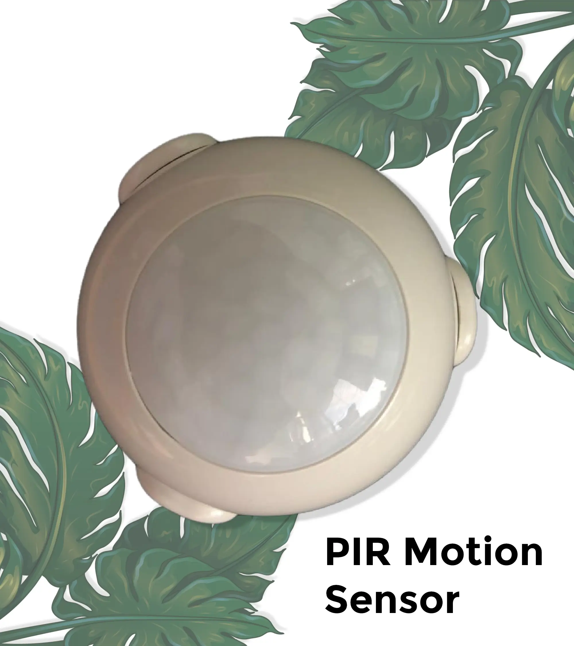 PIR Motion Sensor