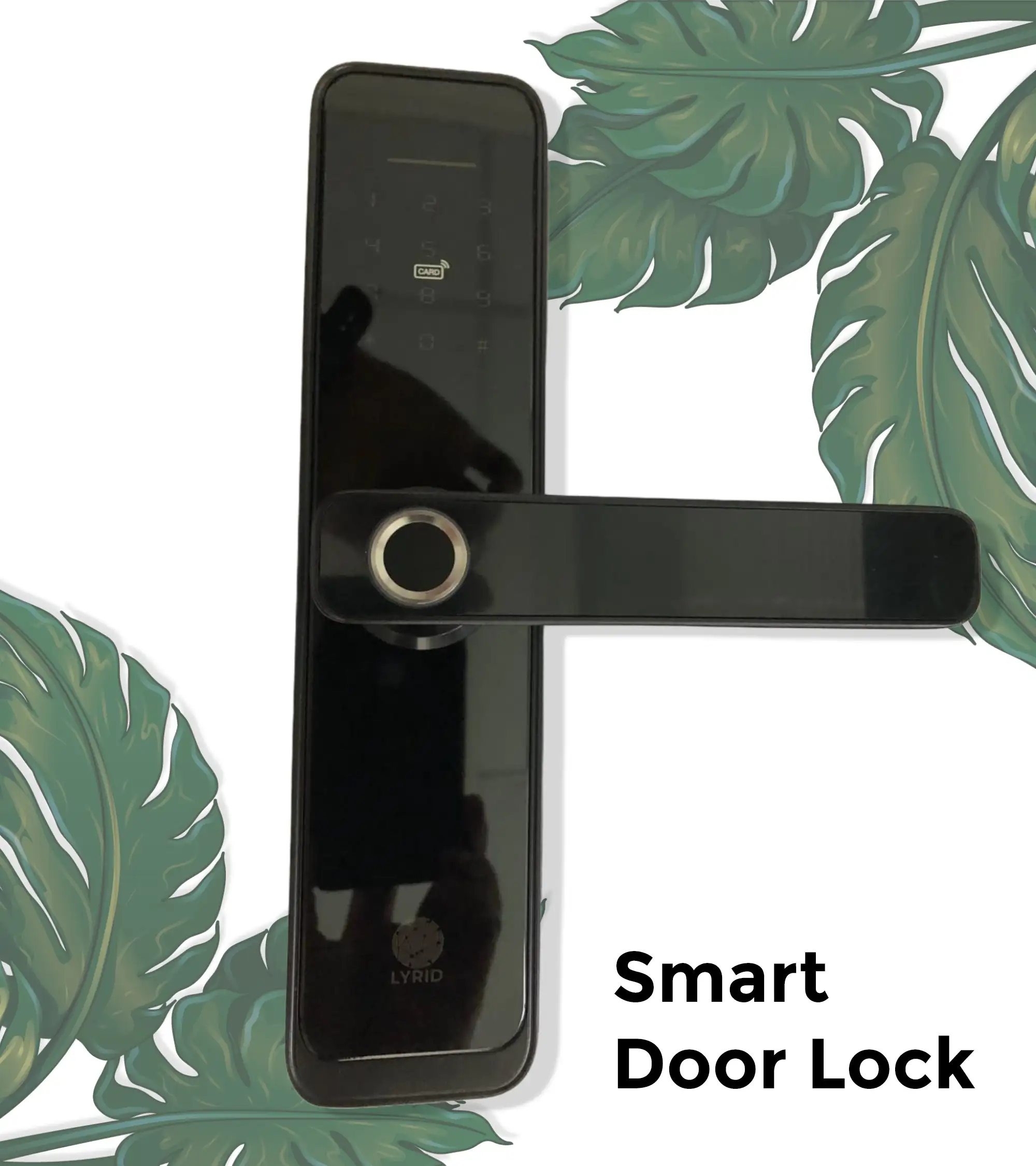 Smart Door 1