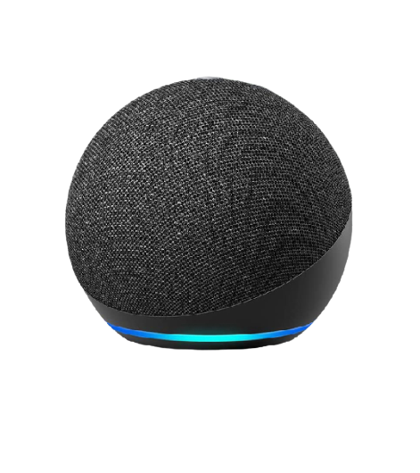 Voice Assistant